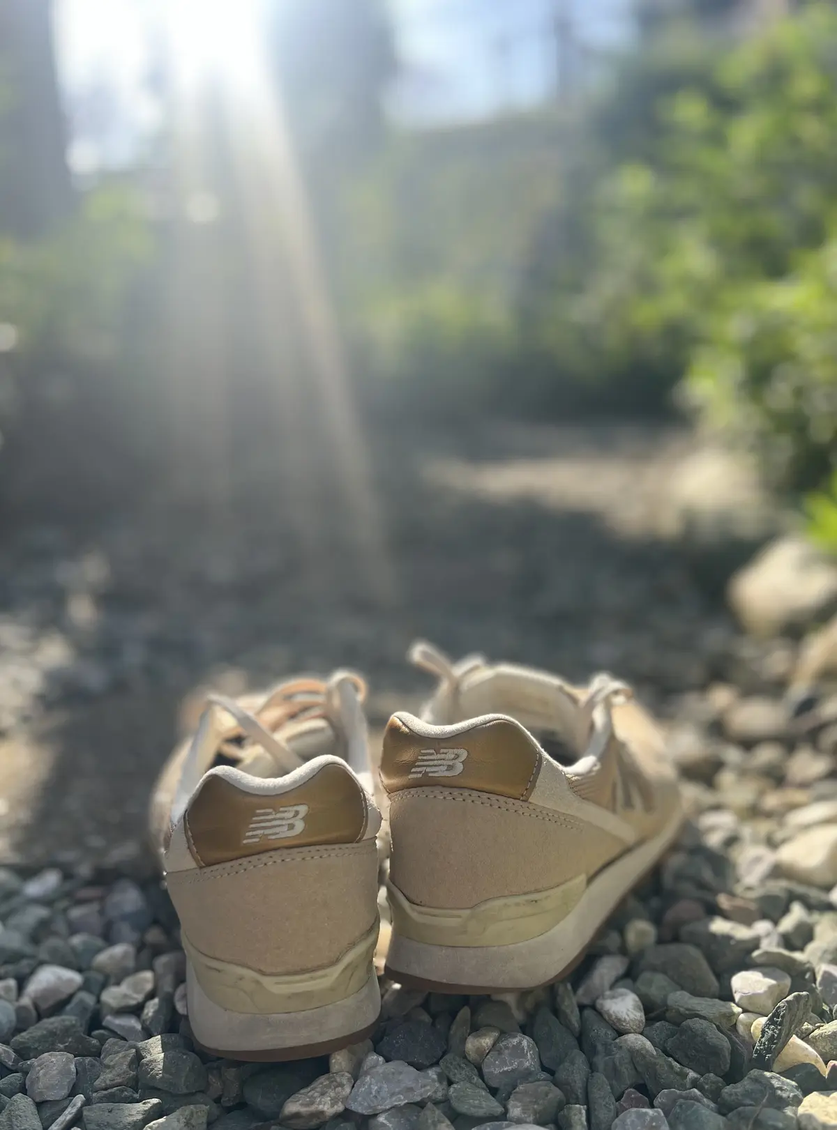 おかえりなさい♪私のスニーカーの画像_3