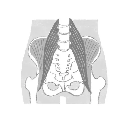 骨盤を鍛えれば自然に姿勢が良くなる！　老の画像_3