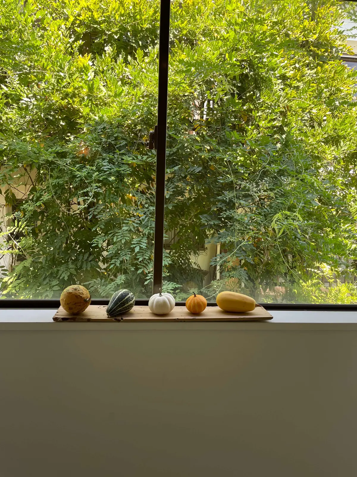 会いたい人に会う。やりたい事をやる。の画像_6