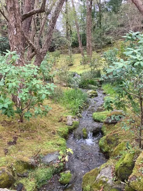 成田山公園を散策  千葉県 成田山新勝寺の画像_2