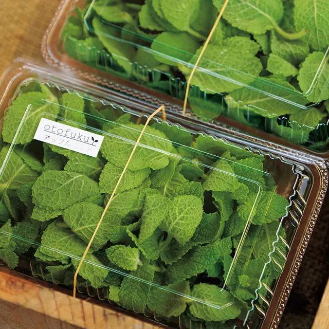 朝採れのフレッシュハーブ。