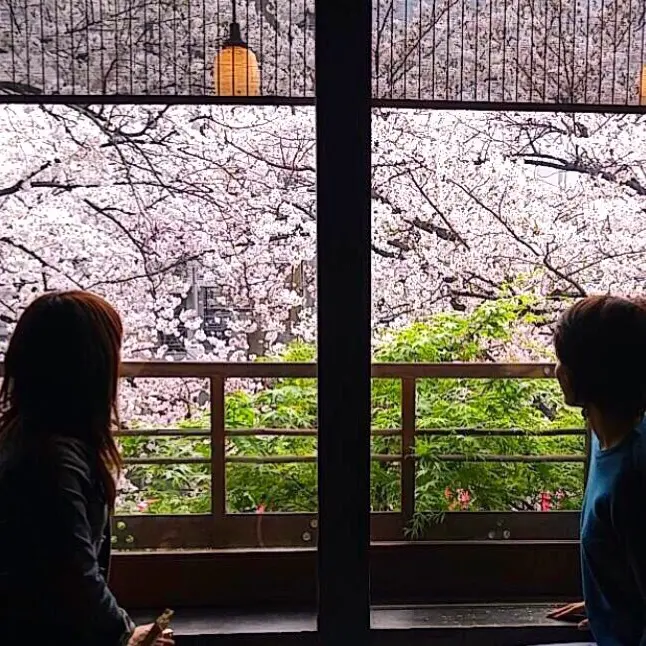 お花見と絶景こだわりランチの画像_4