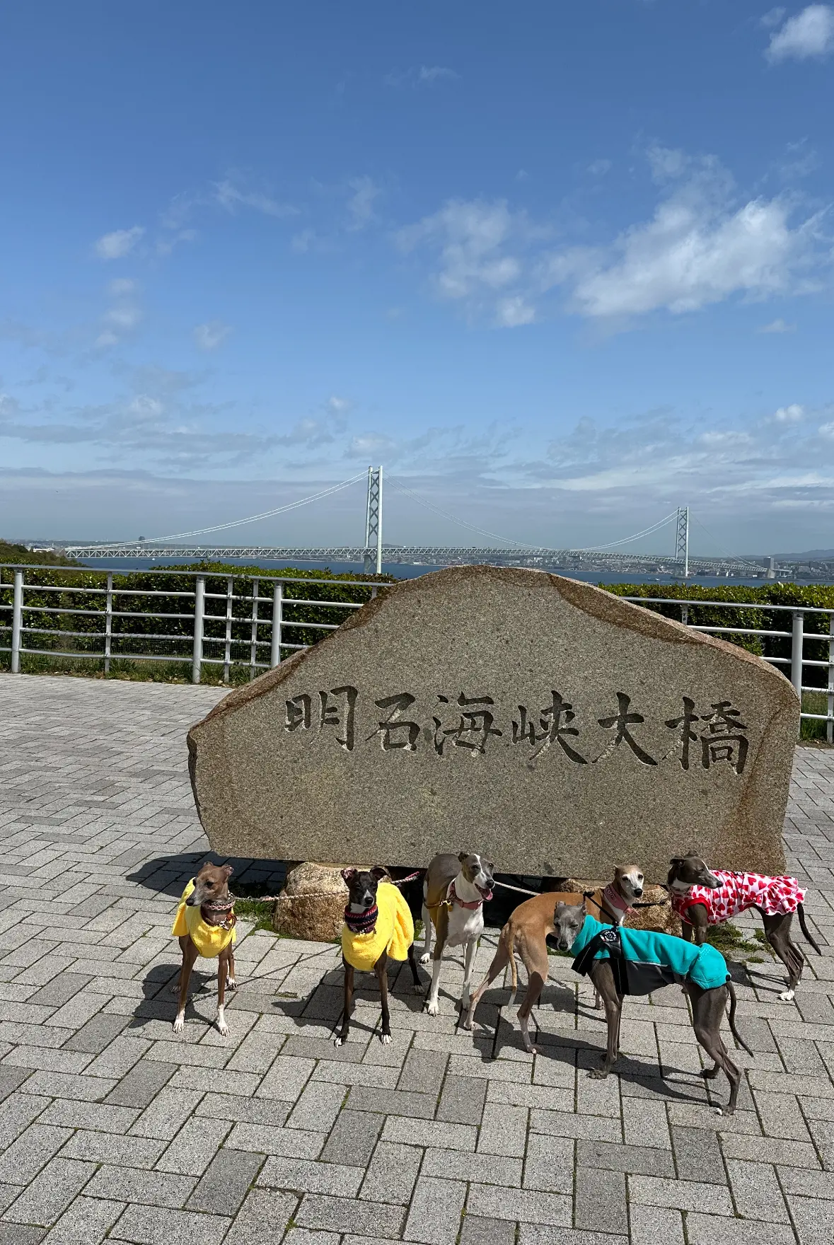ワンズと淡路島旅行はいかが？😊の画像_2