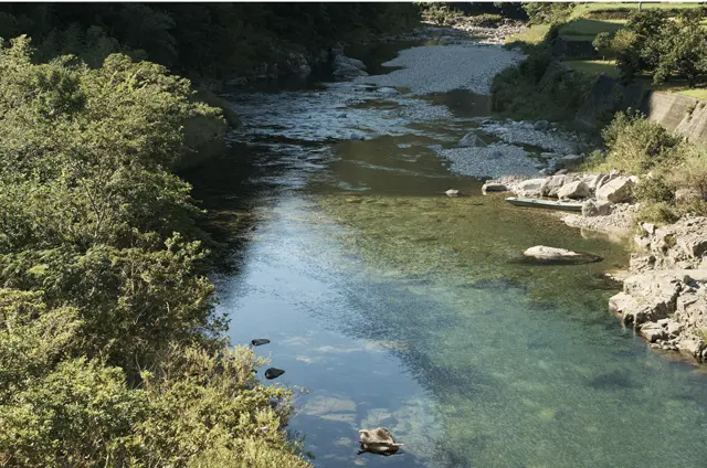 空港や最寄駅から吉賀町までは、ダムがなく、日本一美しいといわれる高津川に沿っての心地よいドライブ。極上の鮎の産地としても有名