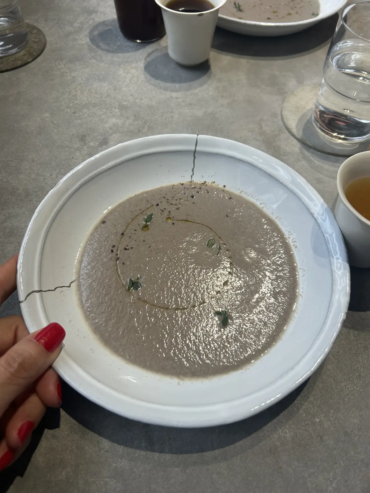 アサコイワヤナギ　アスティエ　金継ぎ食器　きのこスープ