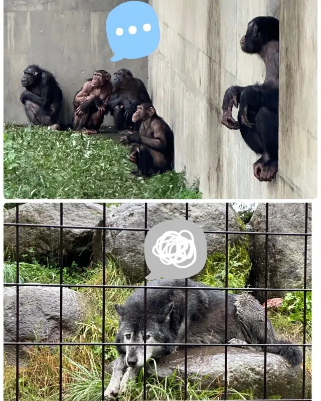 北海道旅行2日目の画像_5