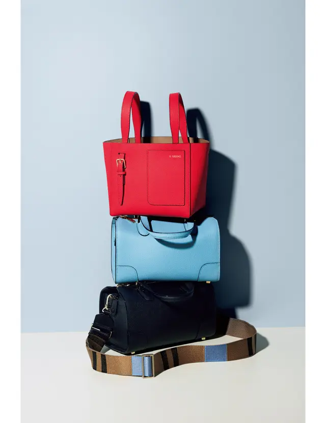 ヴァレクストラのサマーバッグ