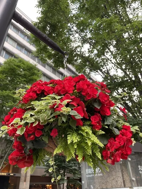 東京・丸の内のハンギングバスケット