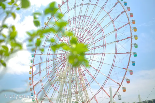 【さかぽんの冒険】初夏のお台場 あじさいの画像_2