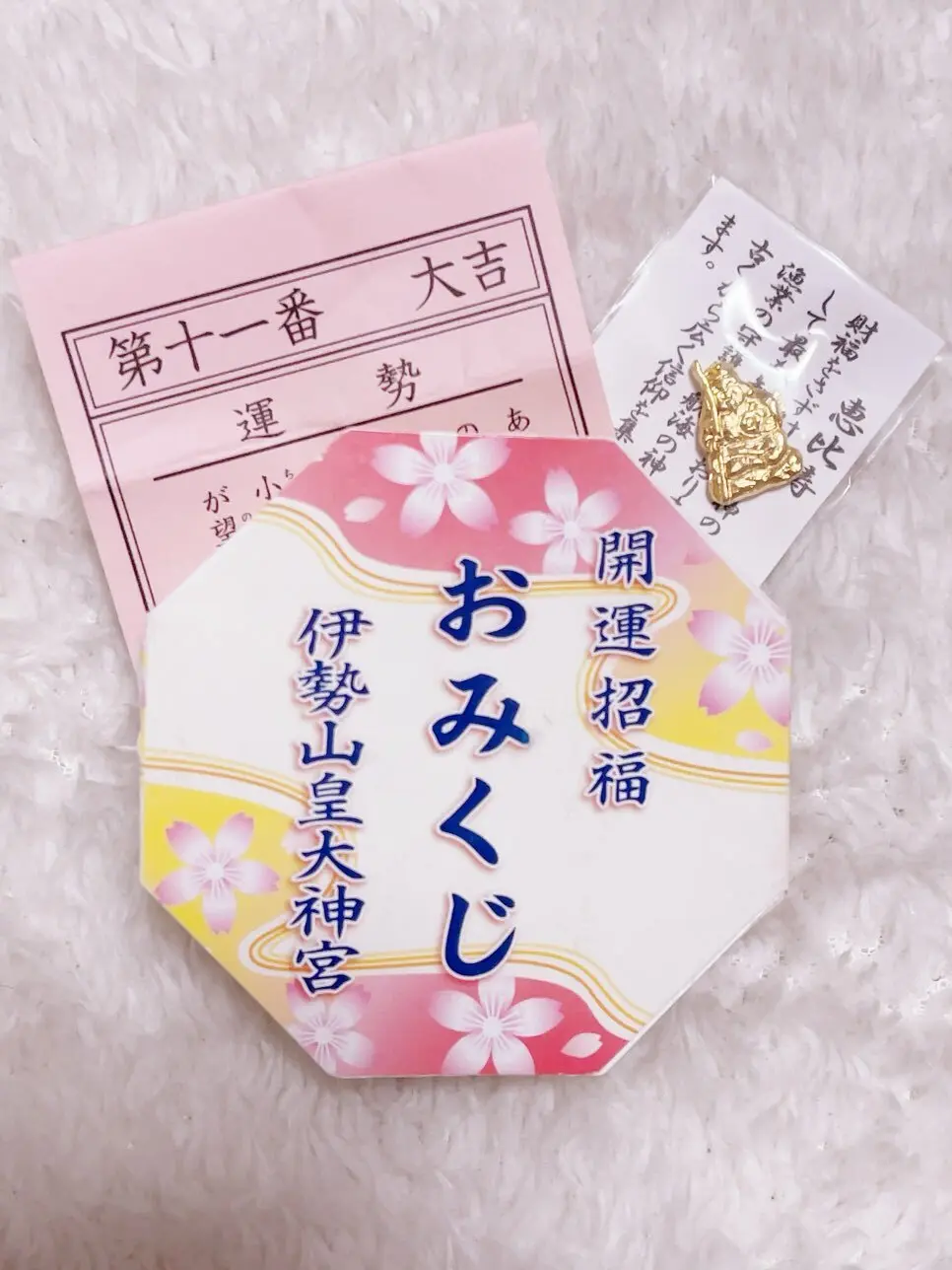 【横浜探宝】Part1.開運編～みなとみの画像_7