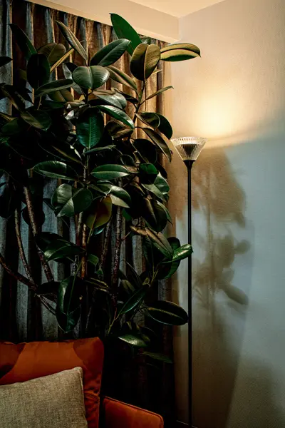 LEDながら光の質にこだわり