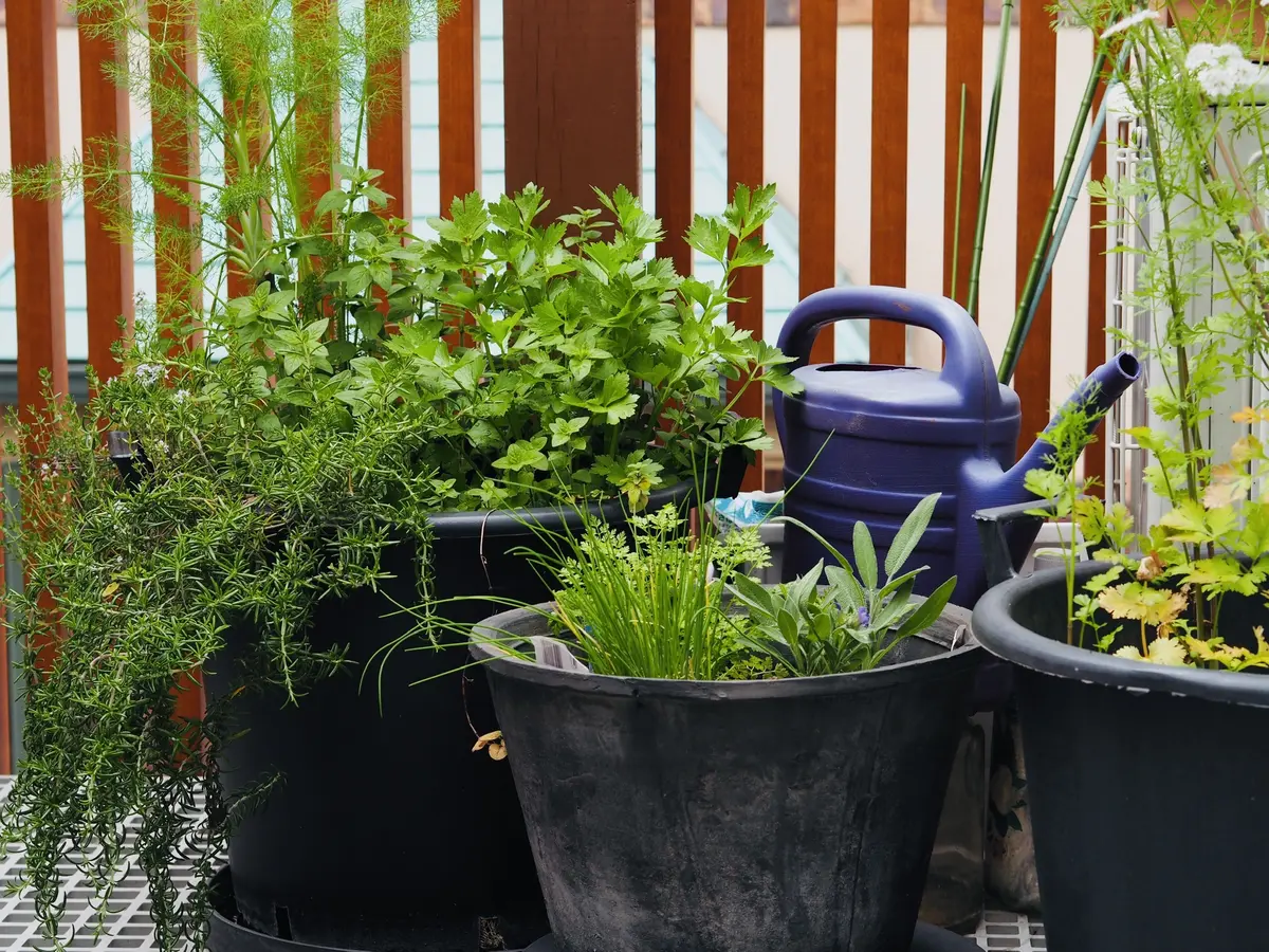 眉を変えて人生をハッピーに♡の画像_5