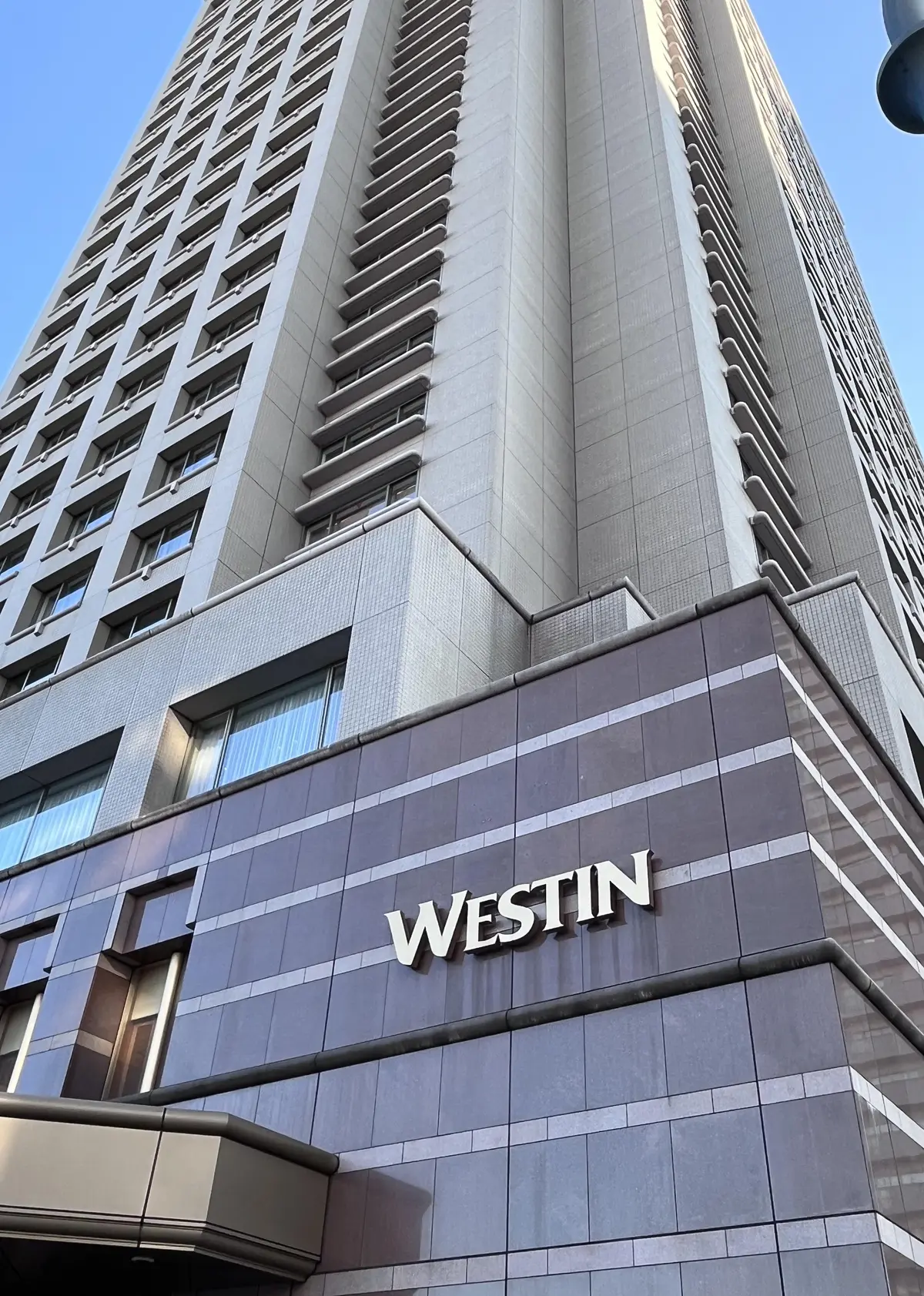 恵比寿でキラキラツリー観賞・夜はLiveの画像_5