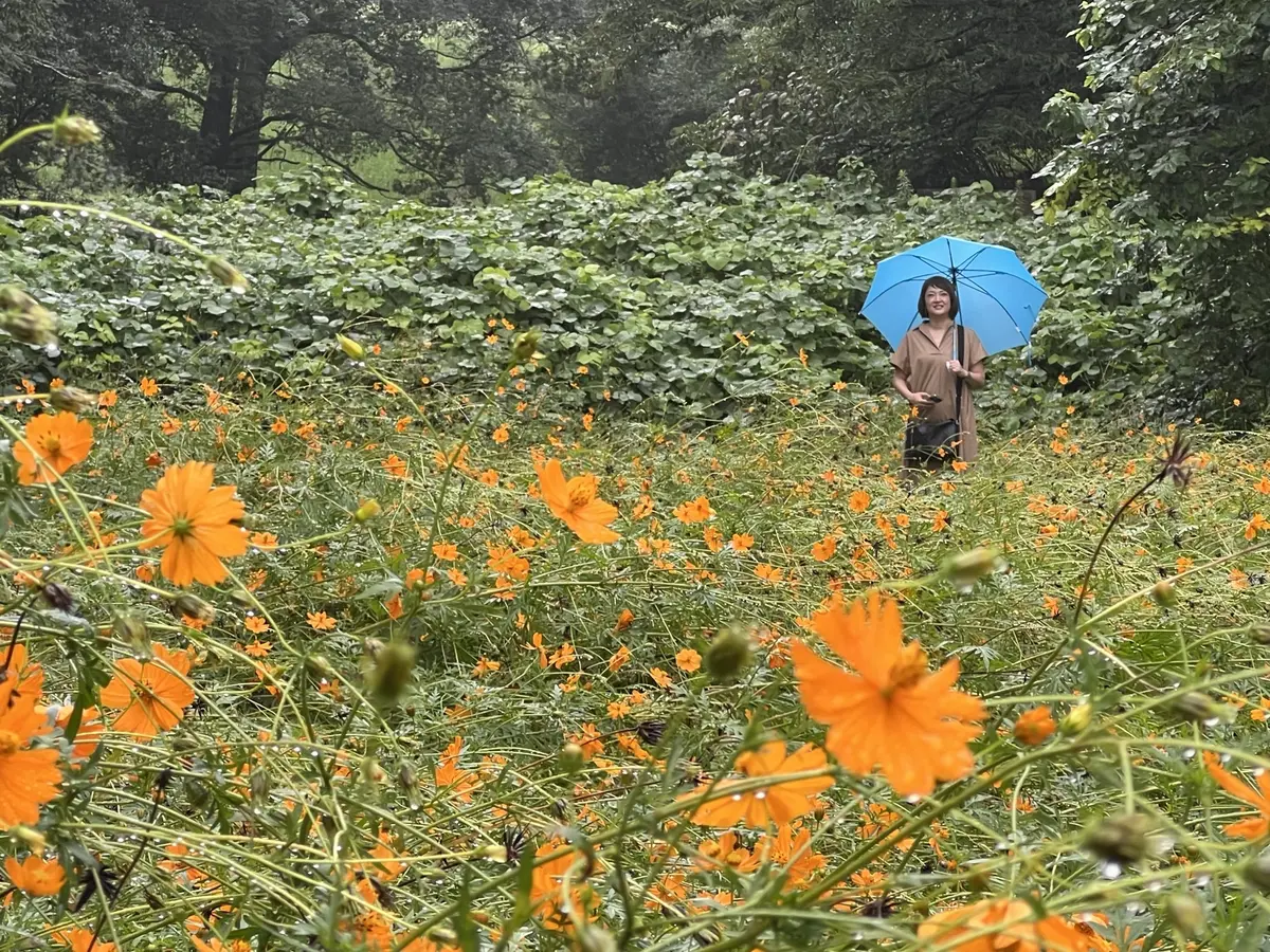 うつのみや文化の森