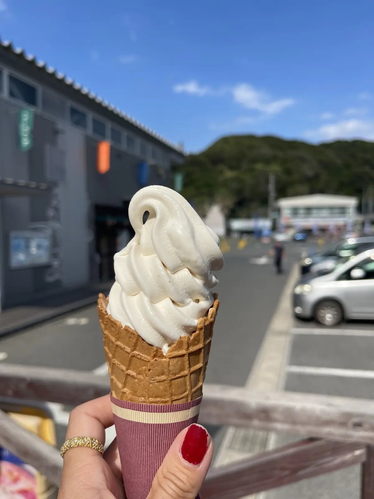 東京湾を渡る30分の船旅。愛犬と久里浜港の画像_7