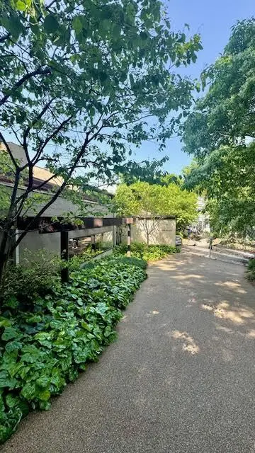 代官山 IVY PLACE前