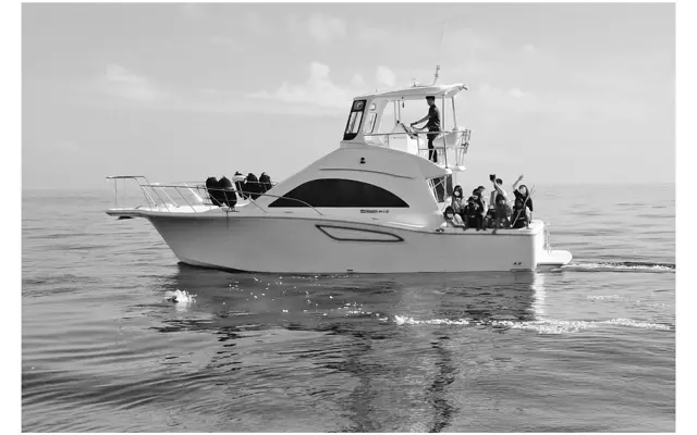 関心が高まっている「散骨」という選択