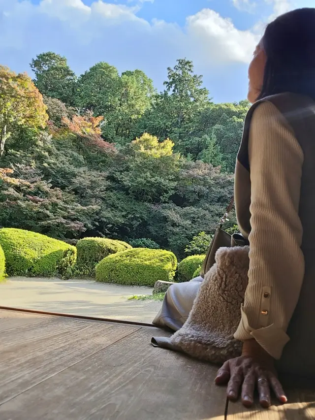 秋の京都ひとり旅・中編 ～瑠璃光院から詩の画像_13