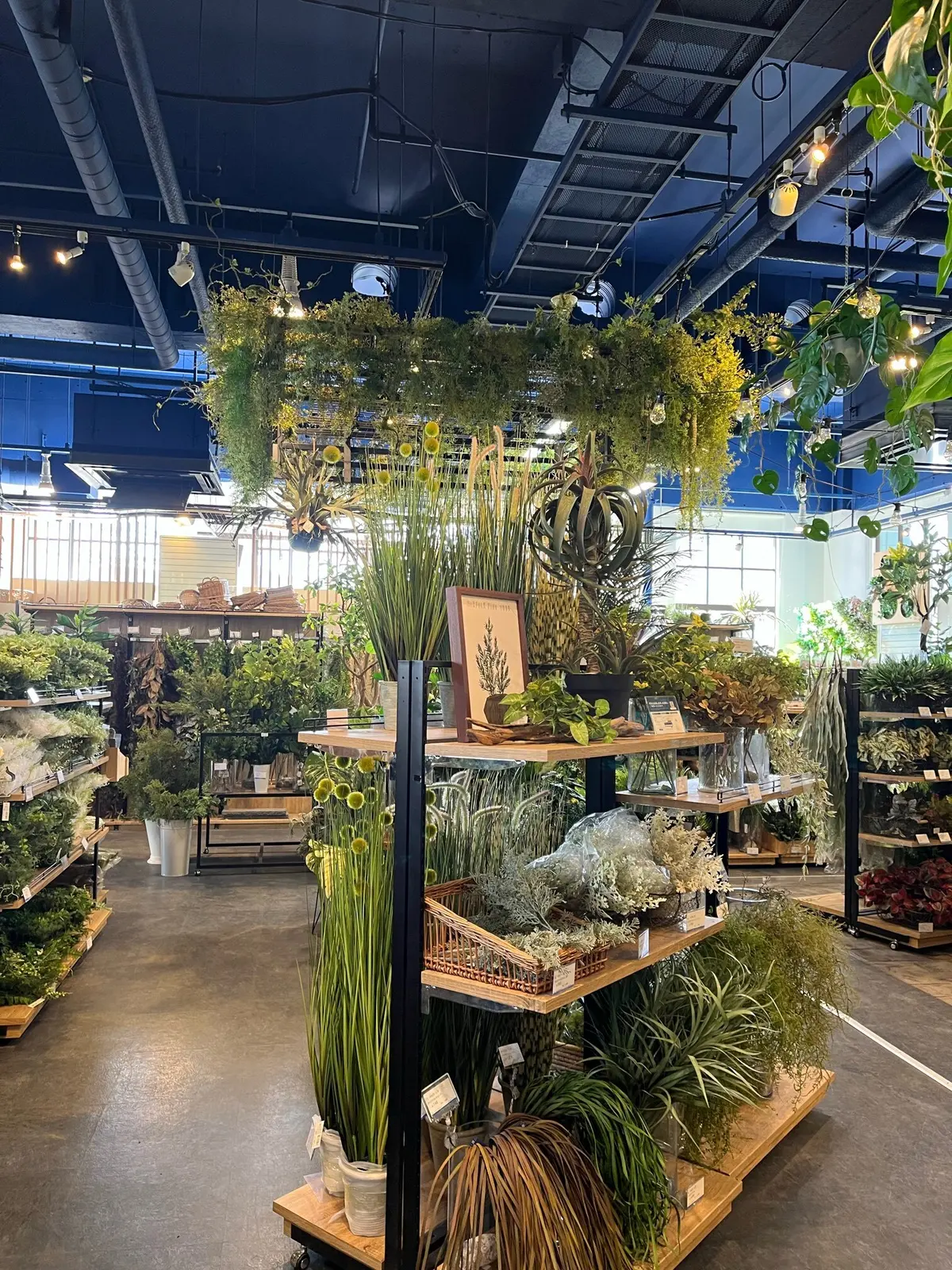 【横浜探宝】Part3. 花とインテリアの画像_2