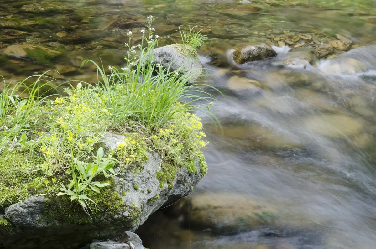 アラフィー女性のホンネ：私がひそかにハマの画像_2