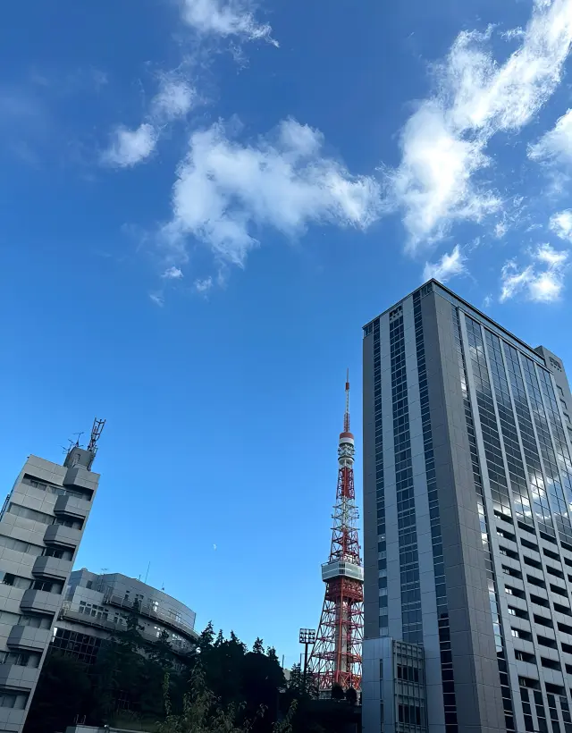 心とからだの健康に、日光浴を取り入れて✨の画像_2