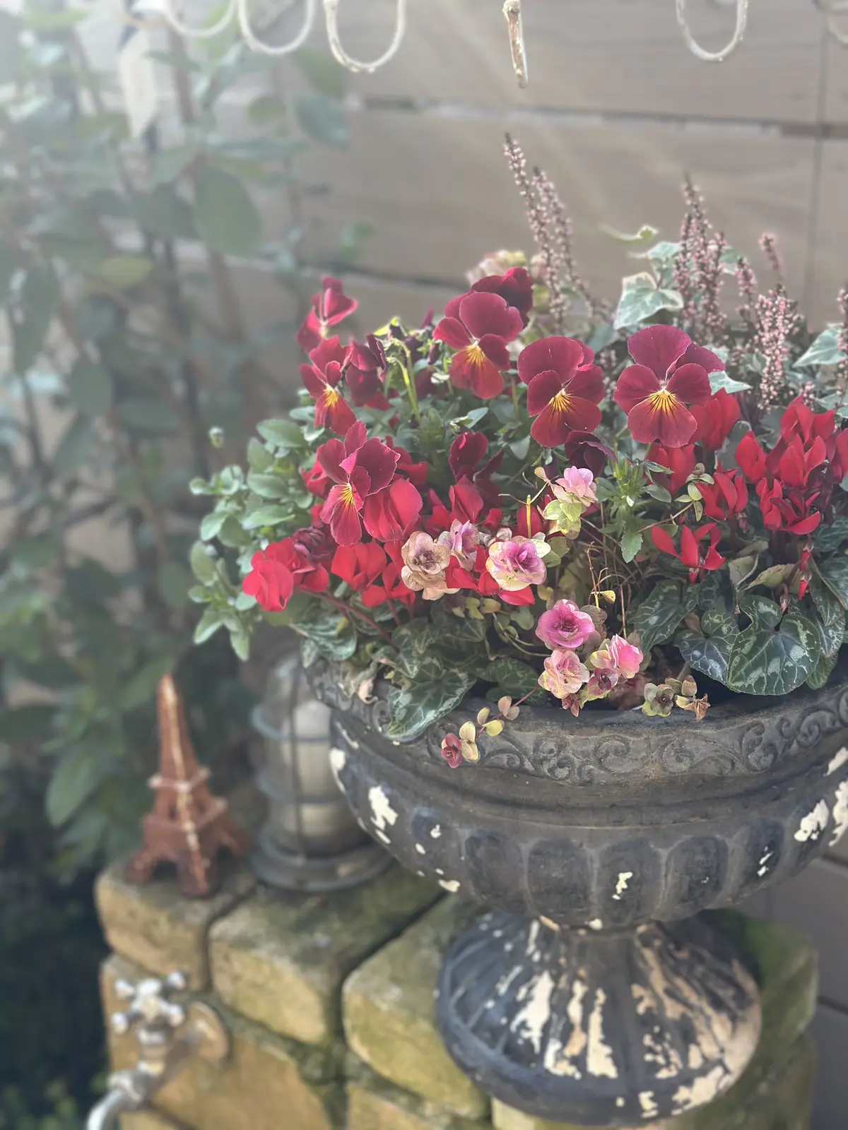 春分あけ、春の陽気に包まれて・・・の画像_2