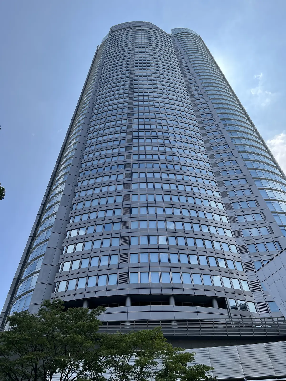 アフリカローズに囲まれての画像_1