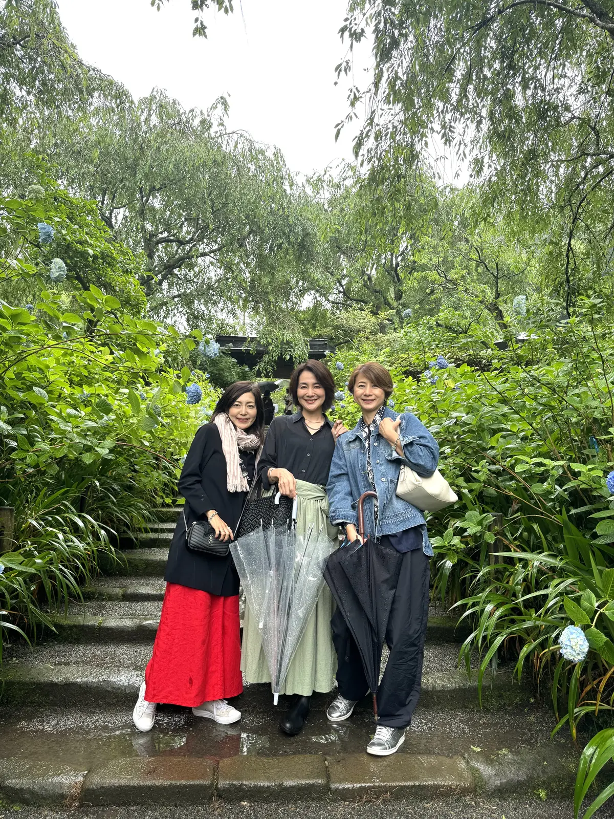 大人の鎌倉遠足♡紫陽花とグルメを満喫しての画像_1