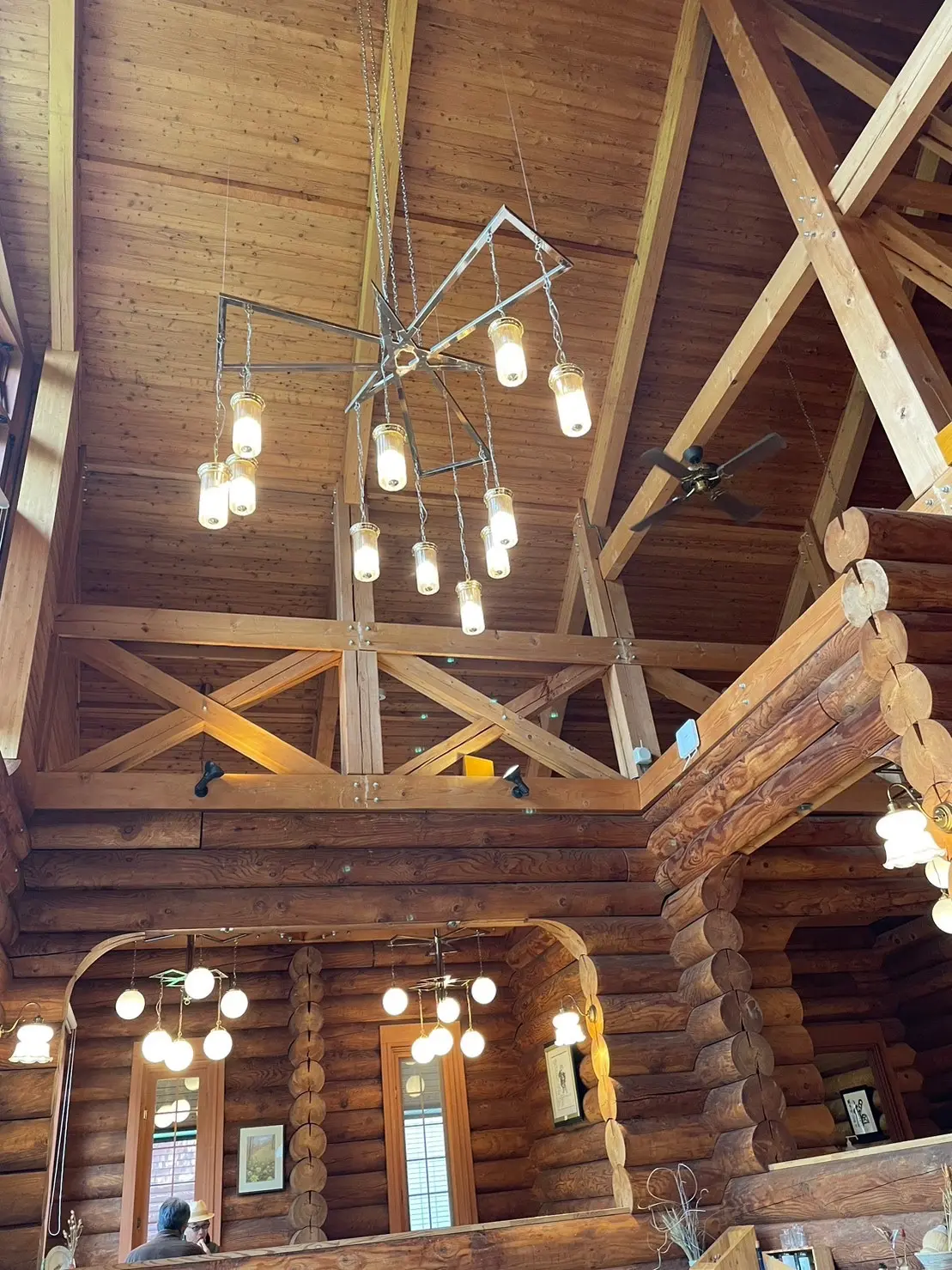 北海道の風土ってワイルドで面白い♪の画像_8