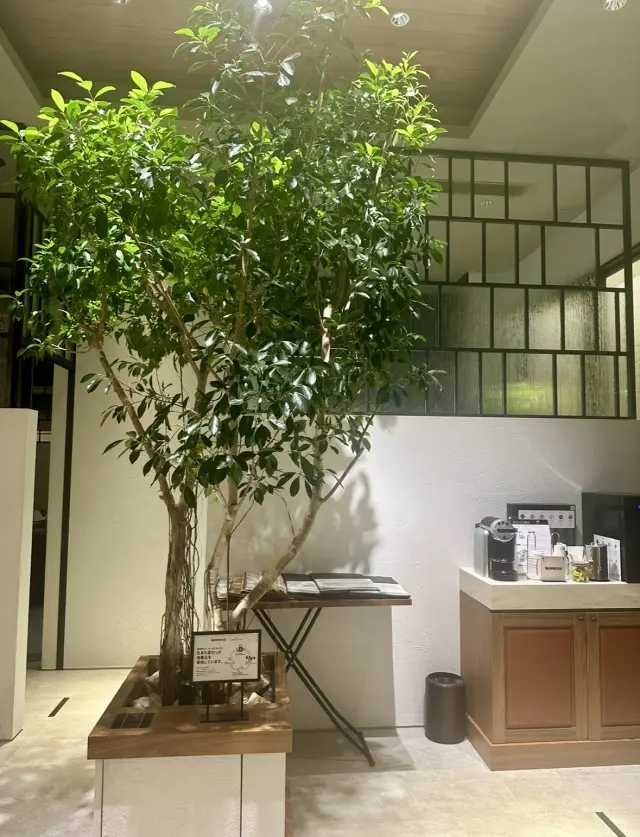 大好きな皆さんに、会いたいから会いにいくの画像_5