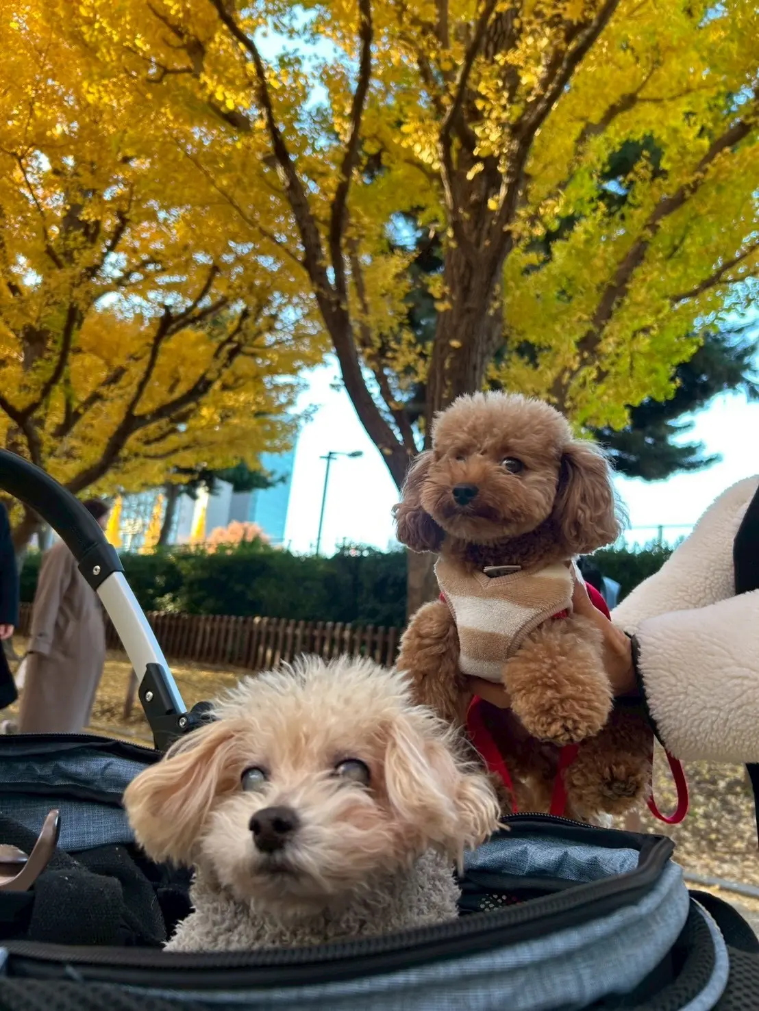 “心地よさ”と“きちんと感”が叶うきれいの画像_13