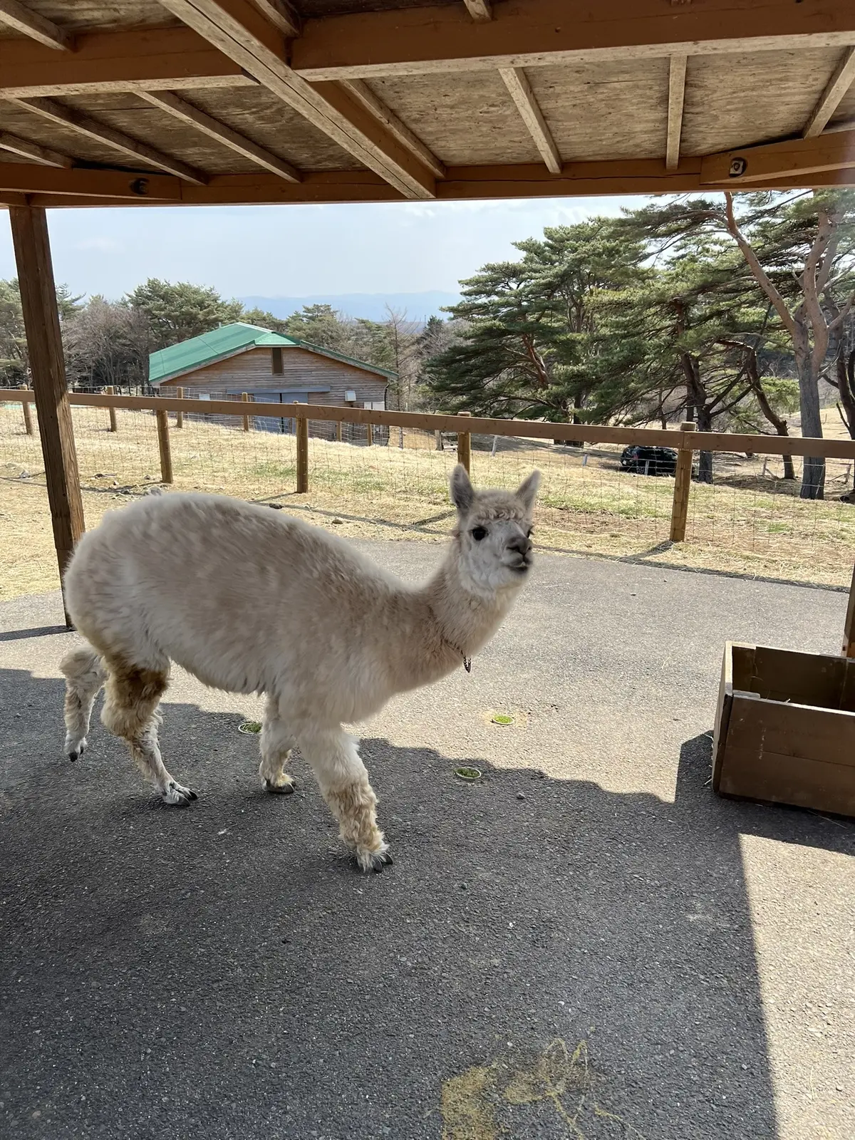 那須どうぶつ王国