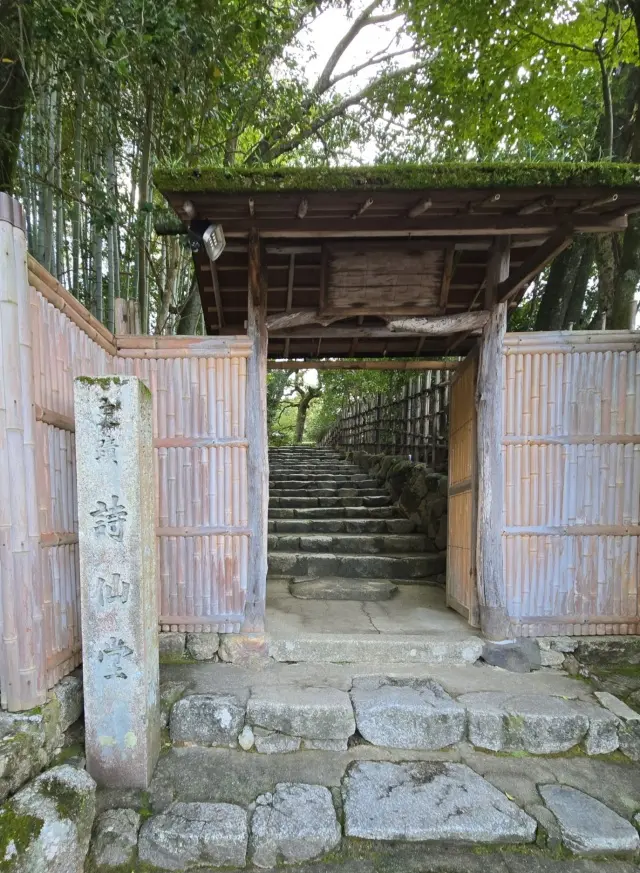 秋の京都ひとり旅・中編 ～瑠璃光院から詩の画像_10