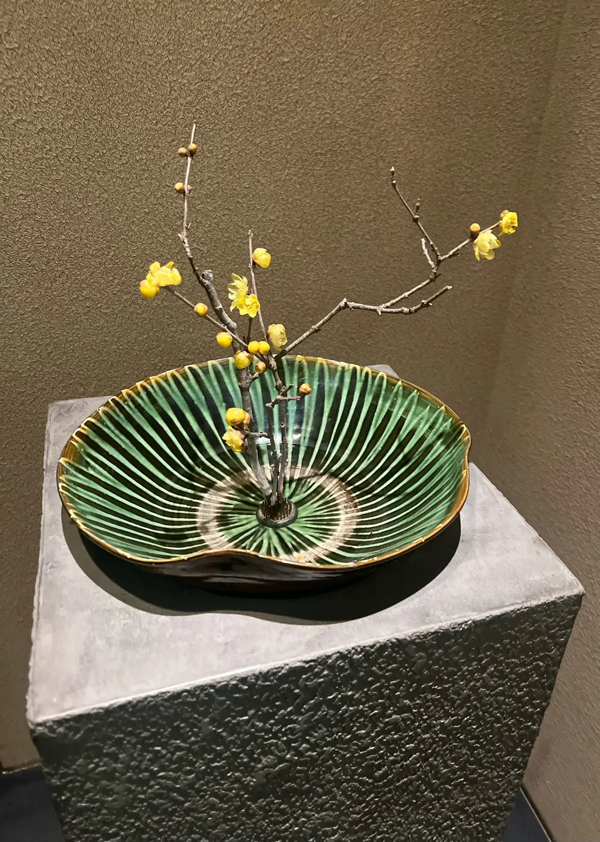 ミシュラン二つ星同士のコラボ店へ‼︎の画像_1