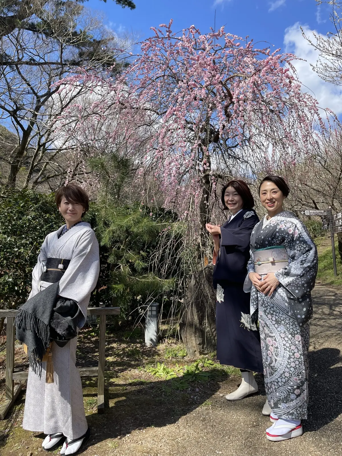 お着物はエイジレスなおしゃれ♪もっともっの画像_4