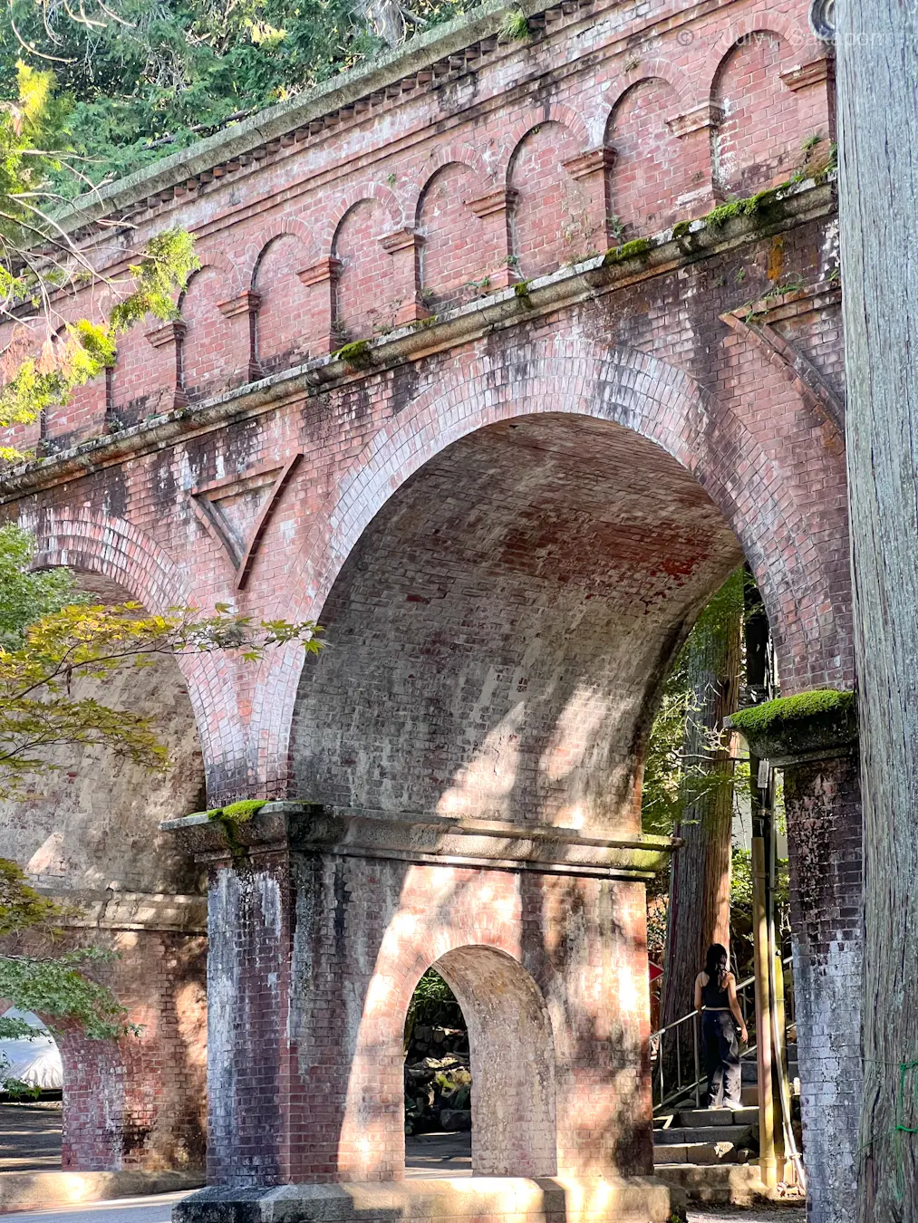 【京都】南禅寺🍁界隈でまったりお茶☕️はの画像_4