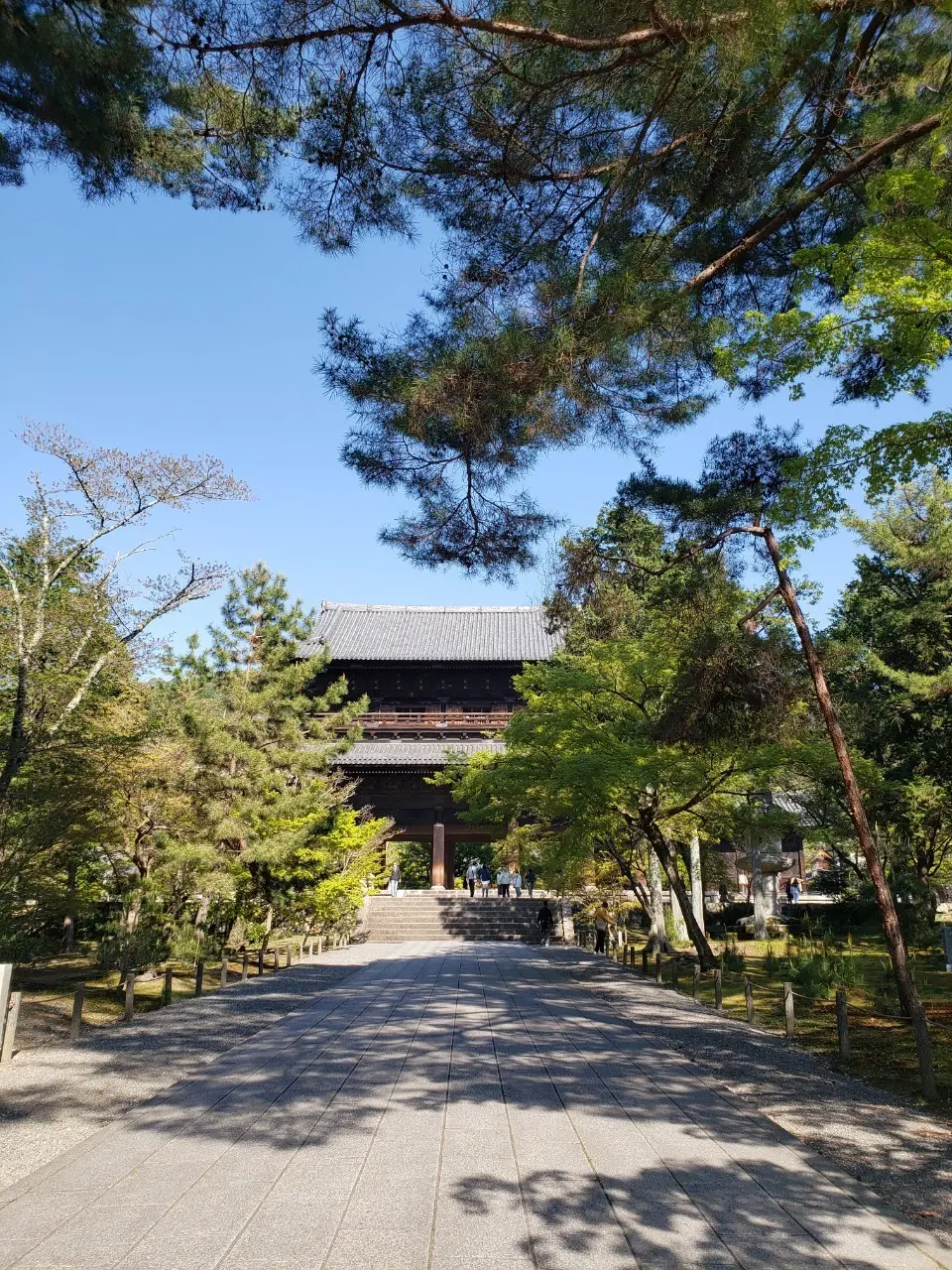 1枚で決まる華やかプリントワンピースと初の画像_13