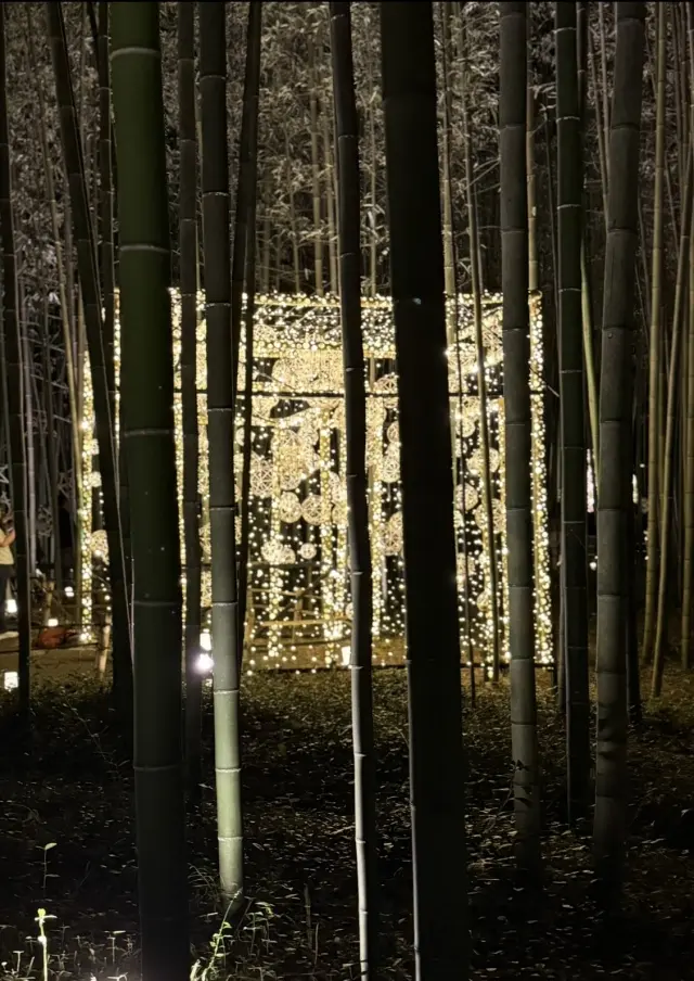 京都「嵐山月灯路」の幻想的な世界への画像_8