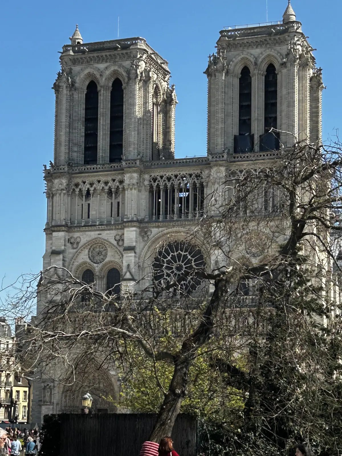 パリ　ノートルダム大聖堂　再開　Cathédrale Notre-Dame de Paris