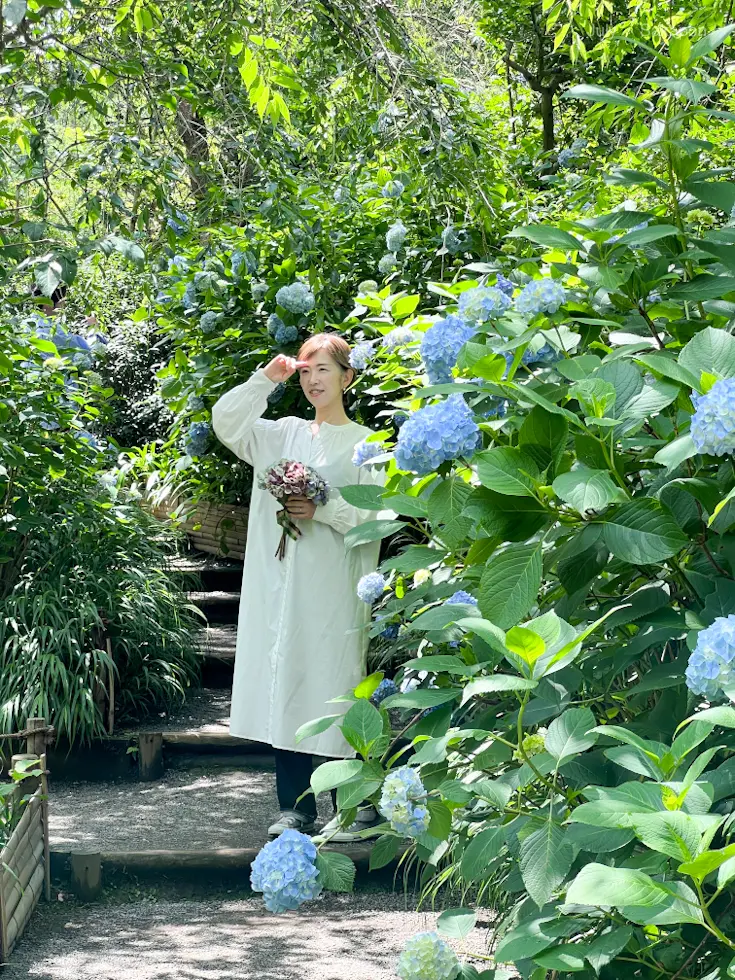 【鎌倉 明月院】キラッキラなあじさいが見の画像_4