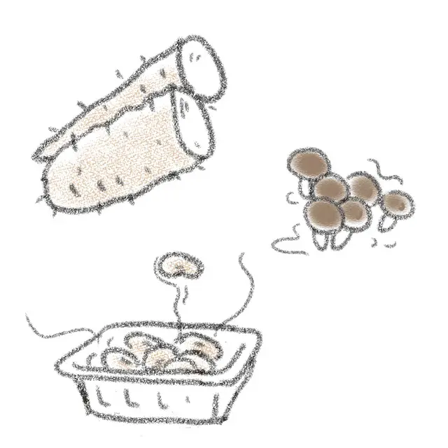 ネバネバ食材（納豆、山いも、なめこなど）