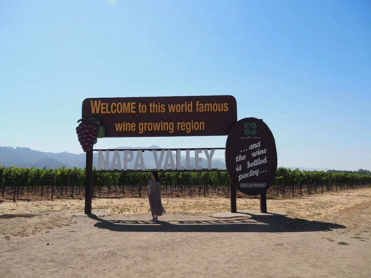 30年の時を経て…　San Franciの画像_5