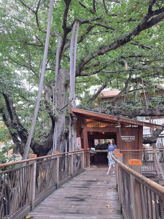 【Hawaii】ハワイの夜を彩る優雅なデの画像_18