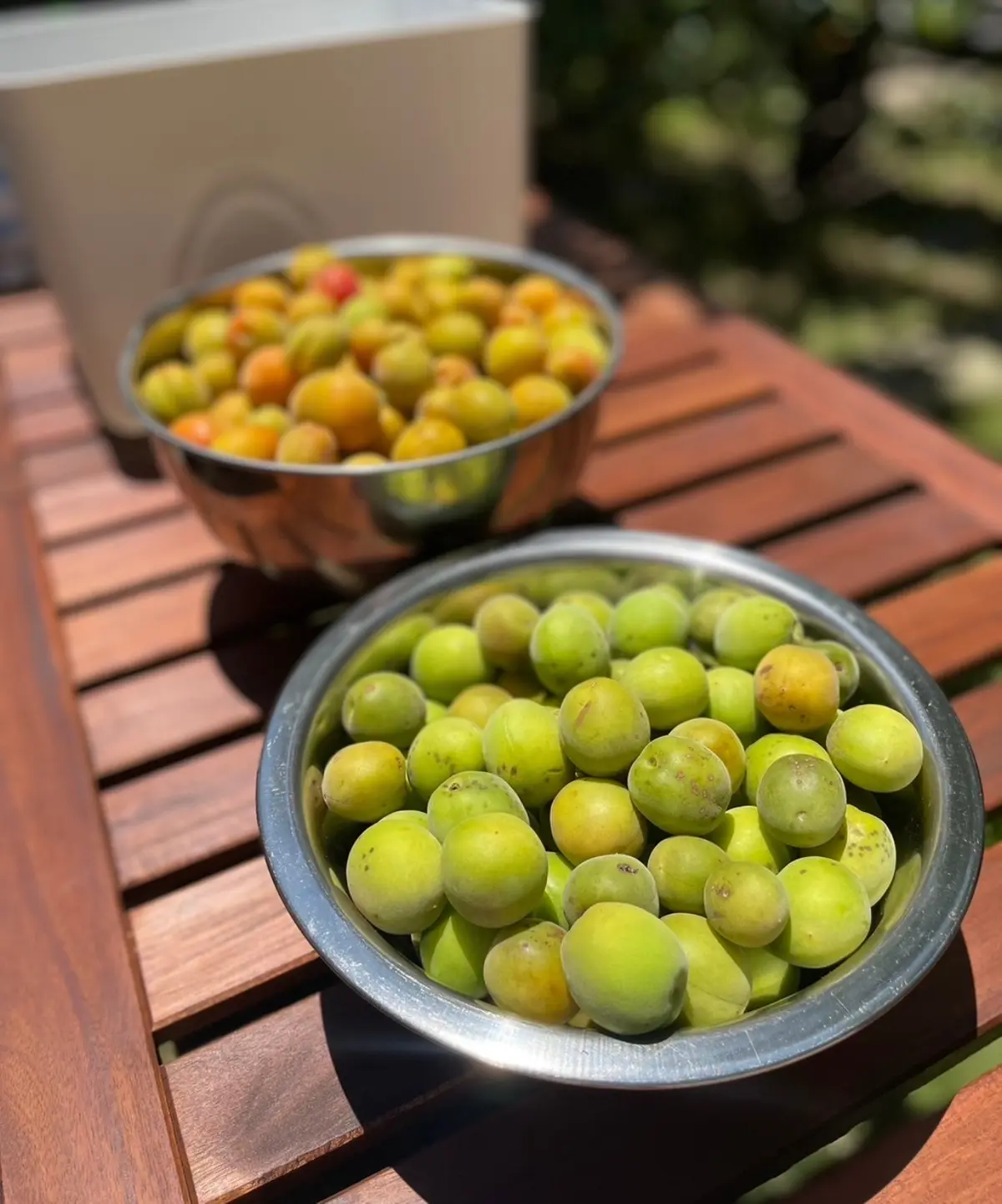 唯一無二♡素敵なガーデンで梅＆杏仕事のレの画像_2