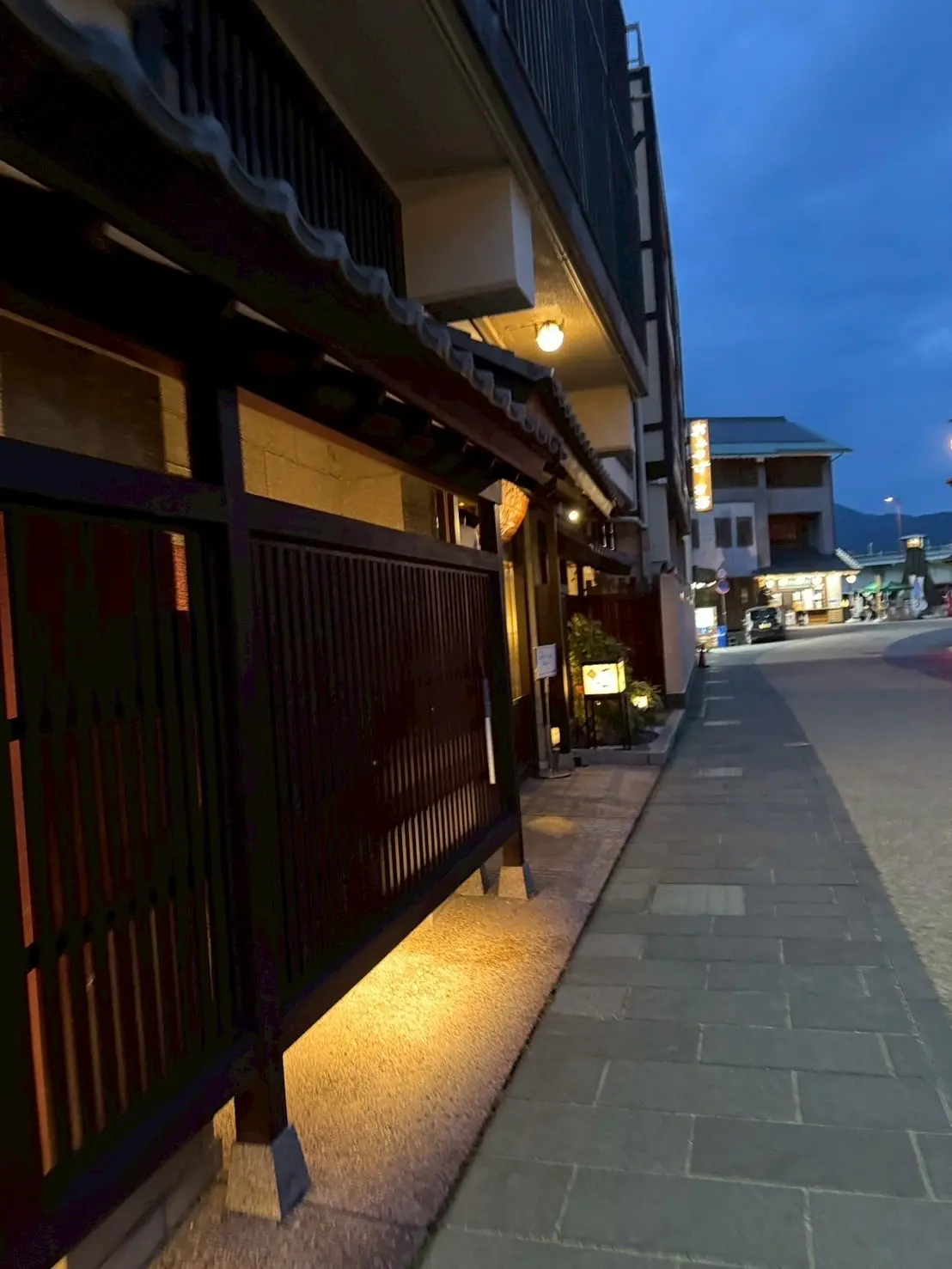 岐阜で夏を満喫♪♪鵜飼、浴衣、お船遊びの画像_4