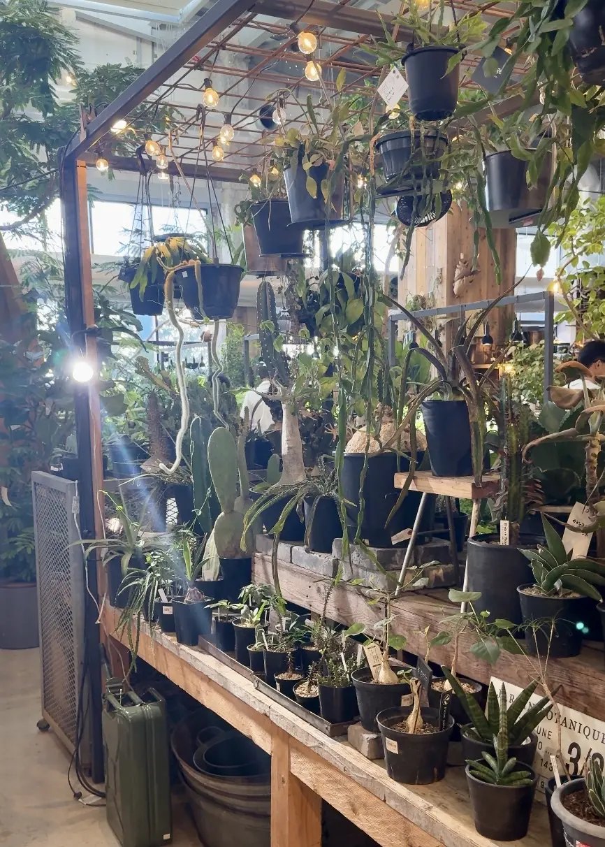 オリンピアンの娘が登壇！「かながわSPOの画像_6