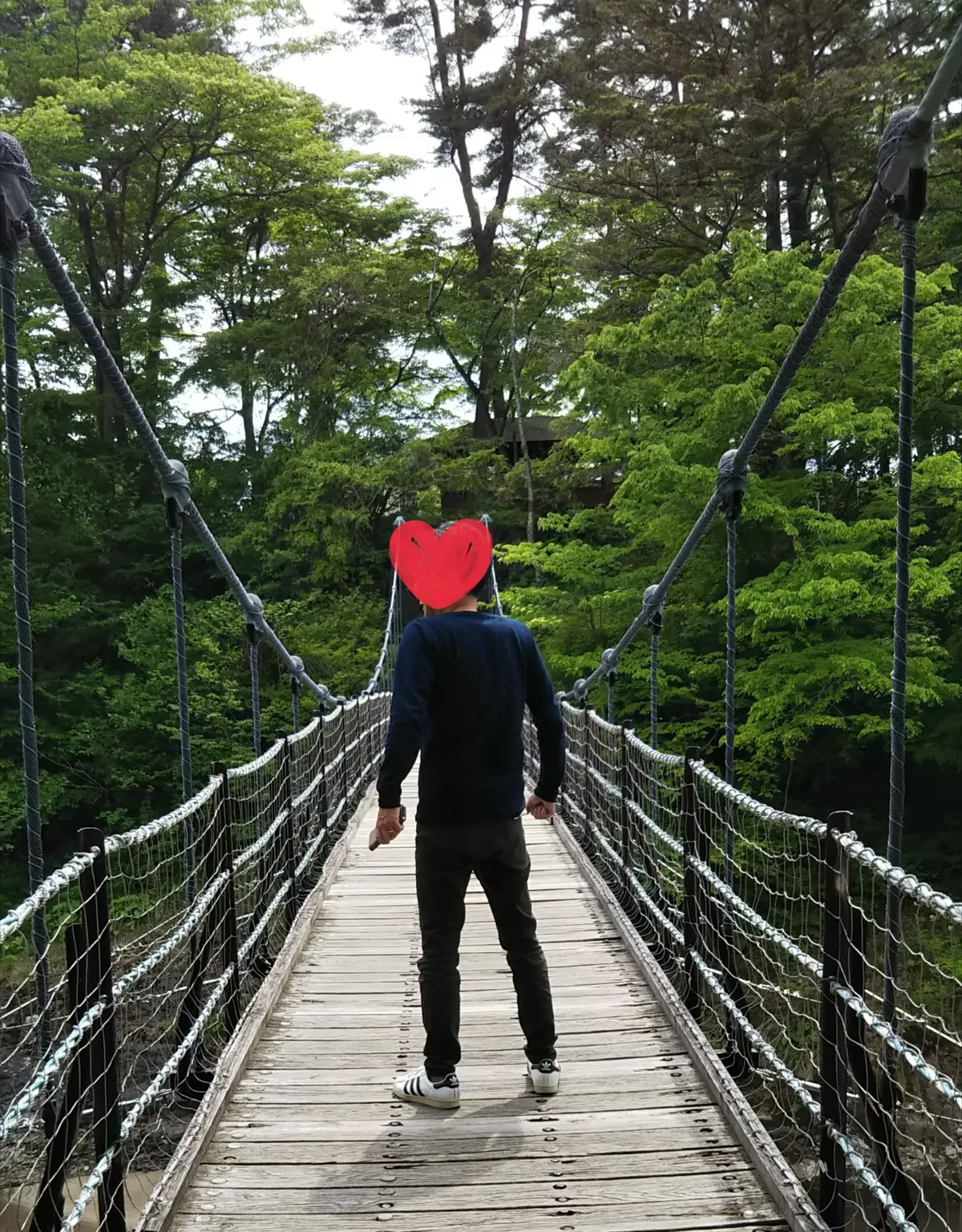 新緑の渓谷で、お団子を食す🍡の画像_10