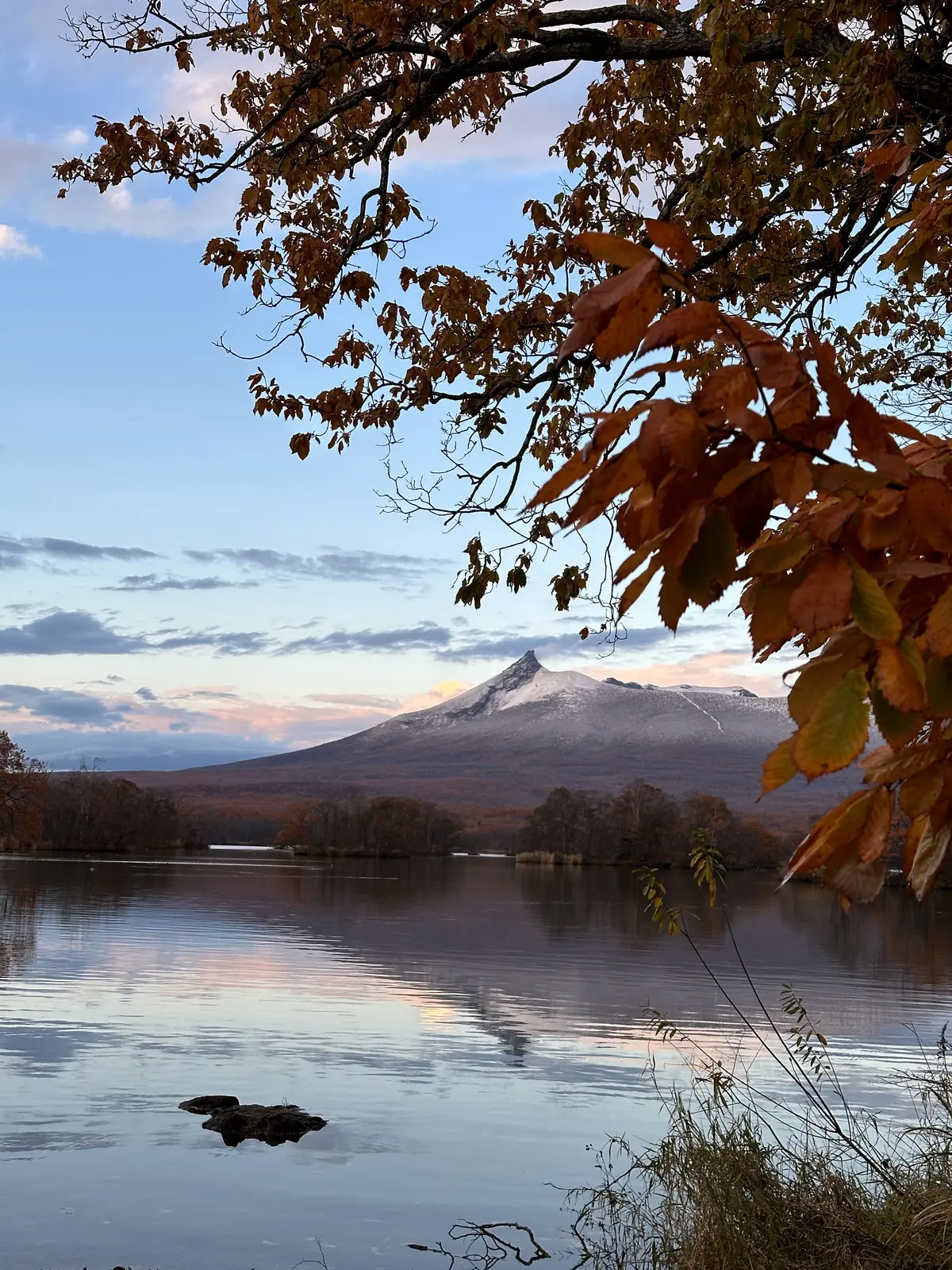 母娘で旅する紅葉の函館の画像_34
