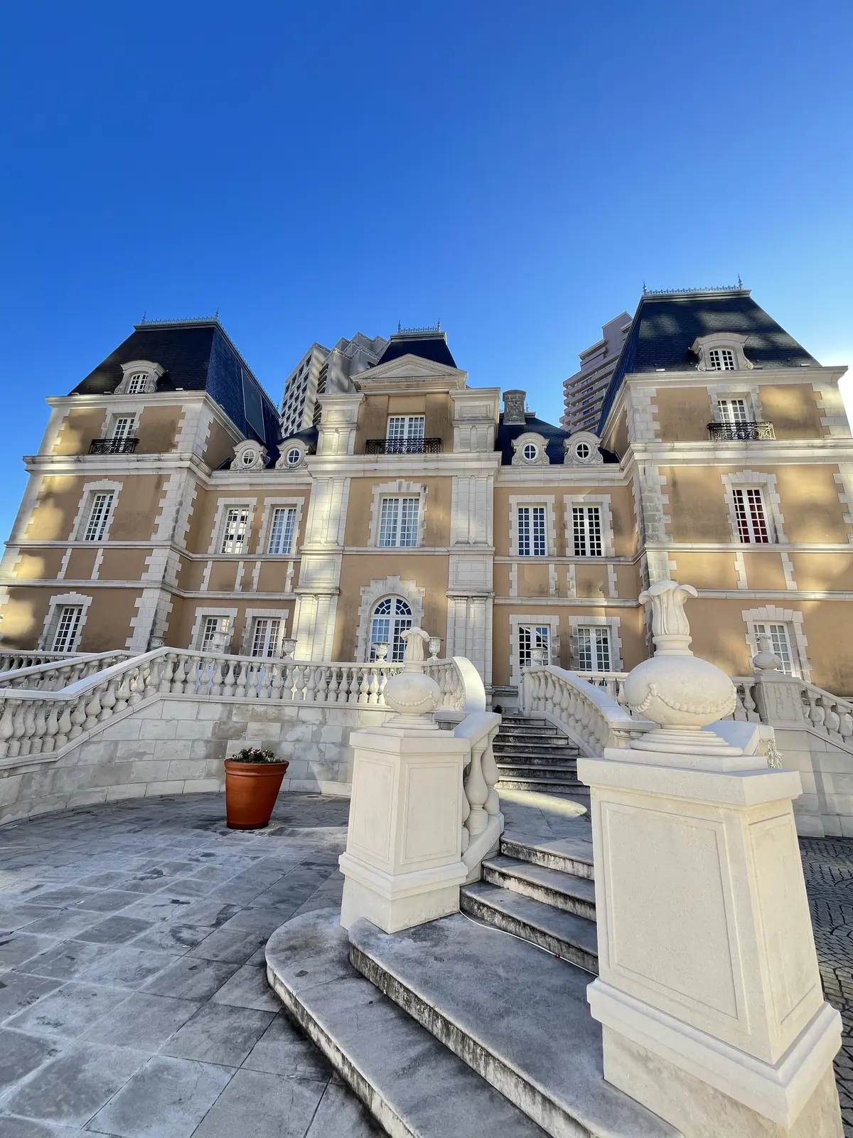 今年も見れた〝ウェスティン〟のクリスマスの画像_3