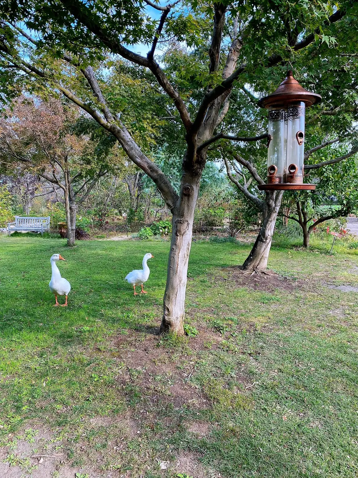 九州旅行　〜別府・美しい大神ファーム〜の画像_6